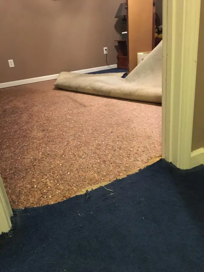 Carpet pad removal revealing water damage during Drying & Dehumidification in Bonner Springs